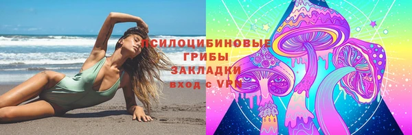 ПСИЛОЦИБИНОВЫЕ ГРИБЫ Новокубанск