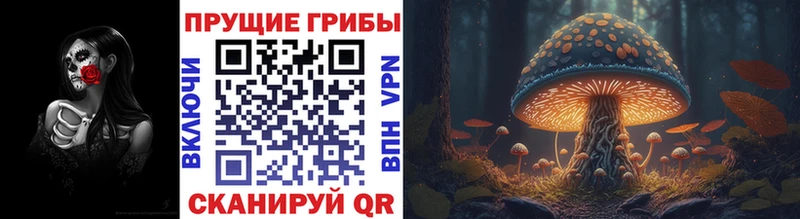 Галлюциногенные грибы мицелий  Купить  Гулькевичи 